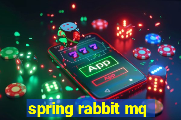 spring rabbit mq